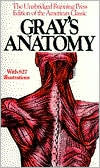 Gray’s Anatomy