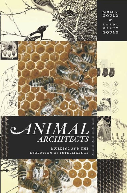 Animal Architects