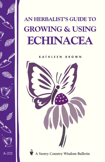An Herbalist’s Guide to Growing & Using Echinacea