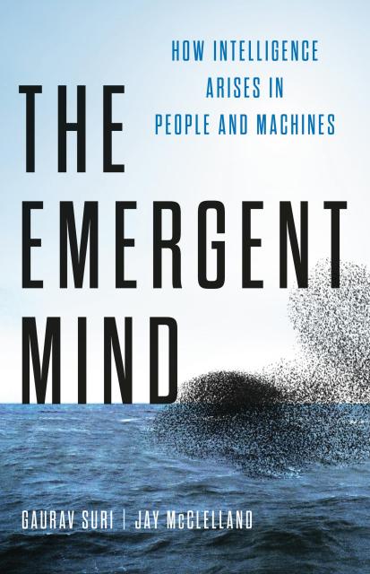 The Emergent Mind